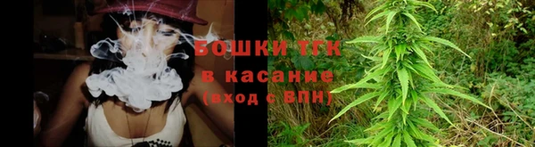 соль ск Богданович