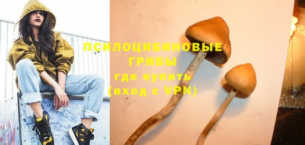 первитин Богородск