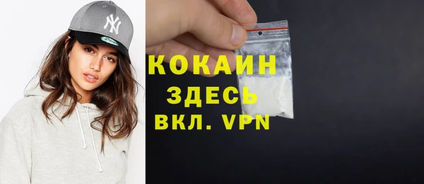 соль ск Богданович
