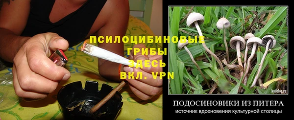первитин Богородск