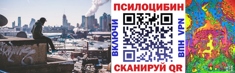 ссылка на мегу tor  Елабуга  Галлюциногенные грибы Cubensis 
